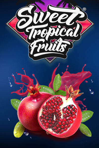 Link Me Sweet Tropical Fruits
