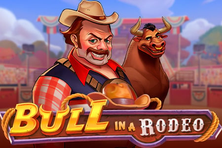 Bull in a Rodeo