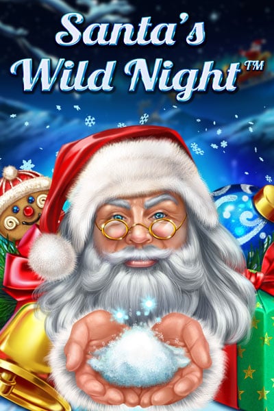 Santa’s Wild Night