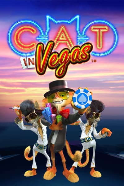 Cat In Vegas