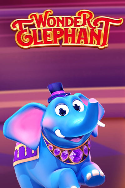 Wonder Elephant